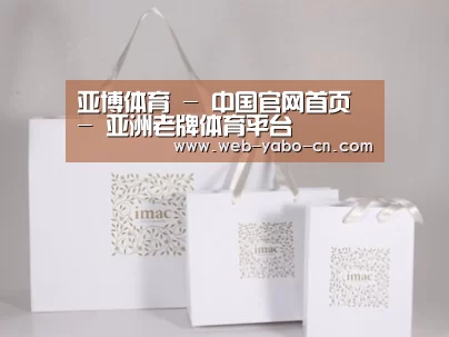 项目名称十一